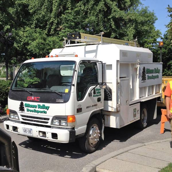 tree trimming utility van