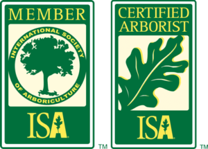 ISA Member and Certified Arborist