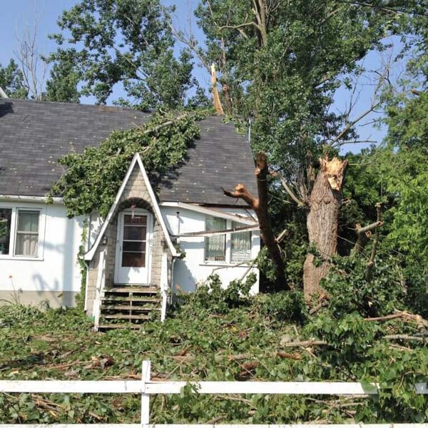 house with tree fallen on it